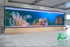 С�g��l(xi��ng)ed�@ʾ�������ӹ�